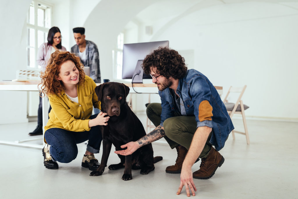 Risks & Rewards of a Pet-Friendly Office